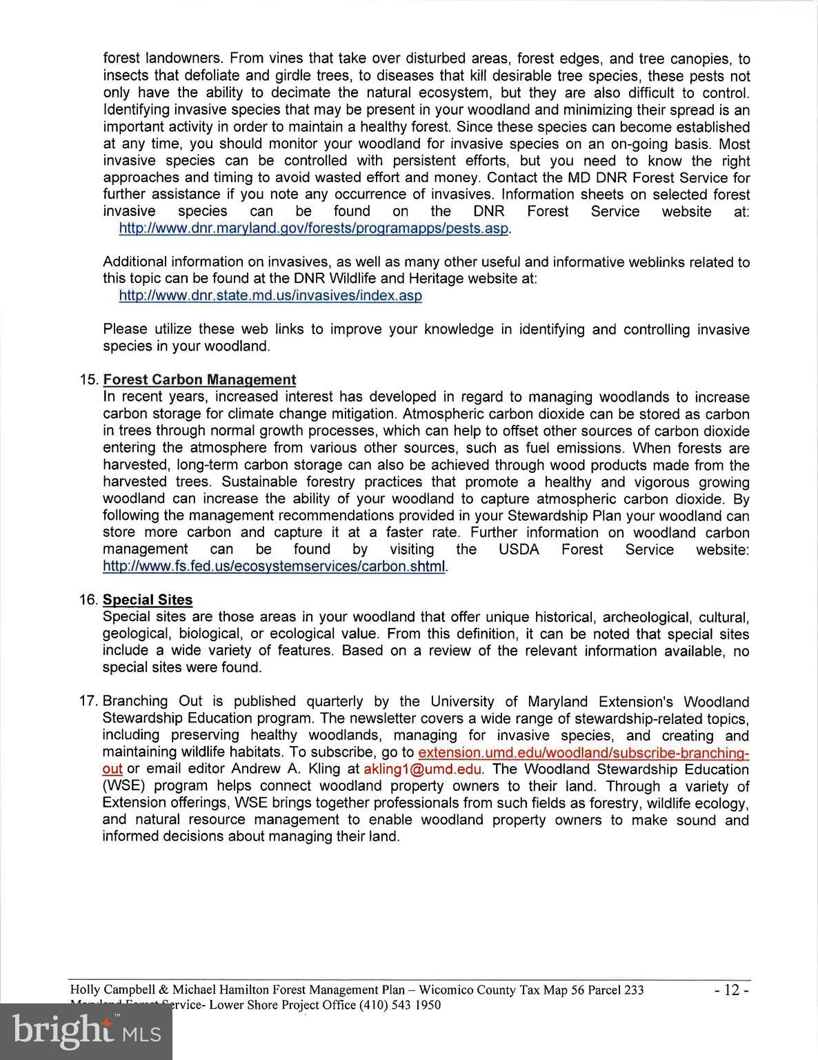 4419 Cooper Road Eden, MD 21822 - Photo 139 of 146 a black and white photo of a painting