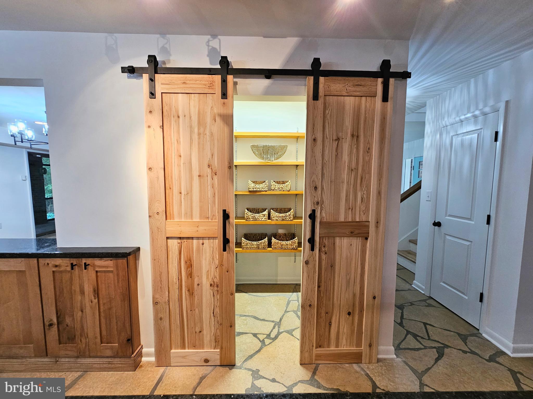 4419 Cooper Road Eden, MD 21822 - Photo 34 of 146 Pantry w Barn Doors