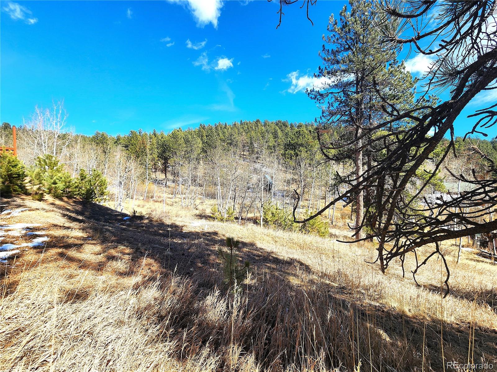 144 Gray Street Bailey, CO 80421 - Photo 12 of 27 a view of a yard with a tree in the background