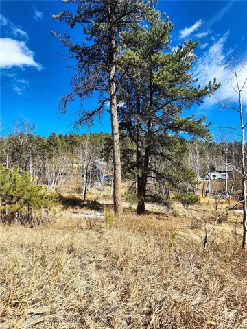 a view of a yard with wooden fence
