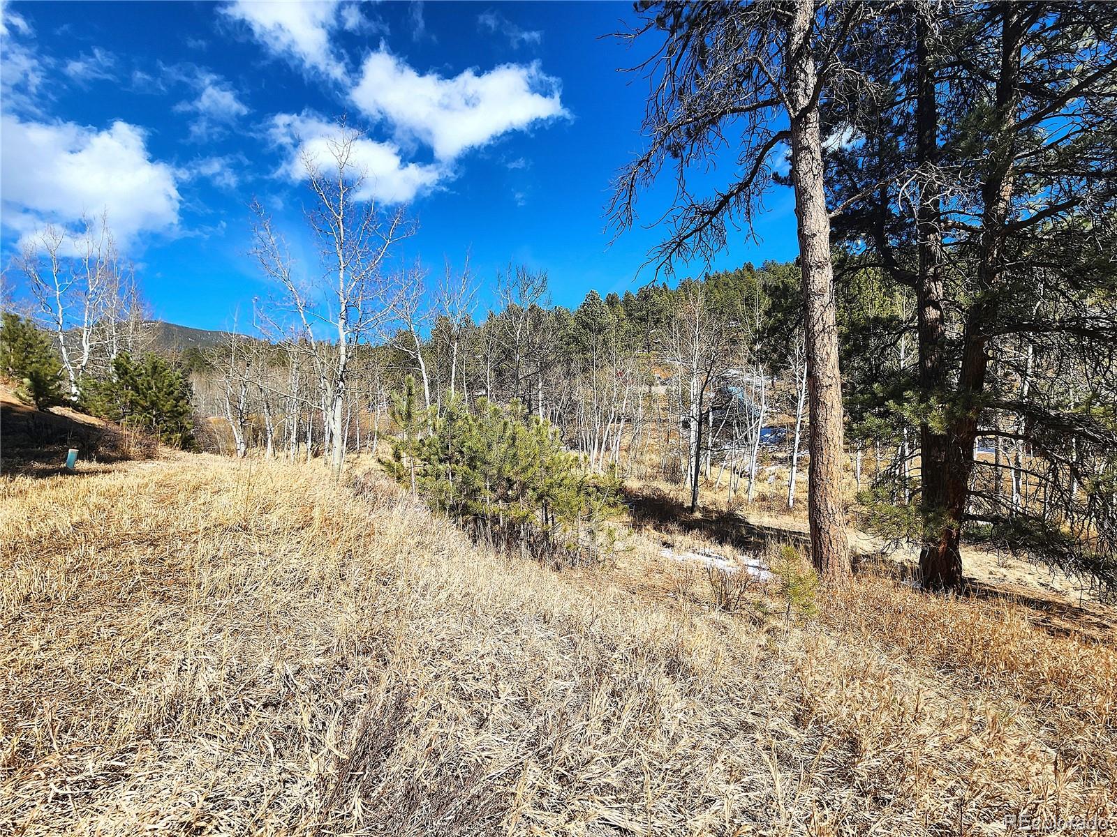 144 Gray Street Bailey, CO 80421 - Photo 15 of 27 a view of a yard with trees