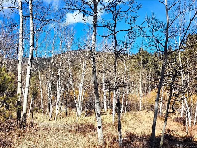 a view of road with trees