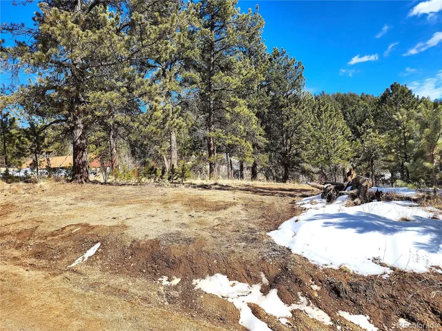 a view of a yard with trees