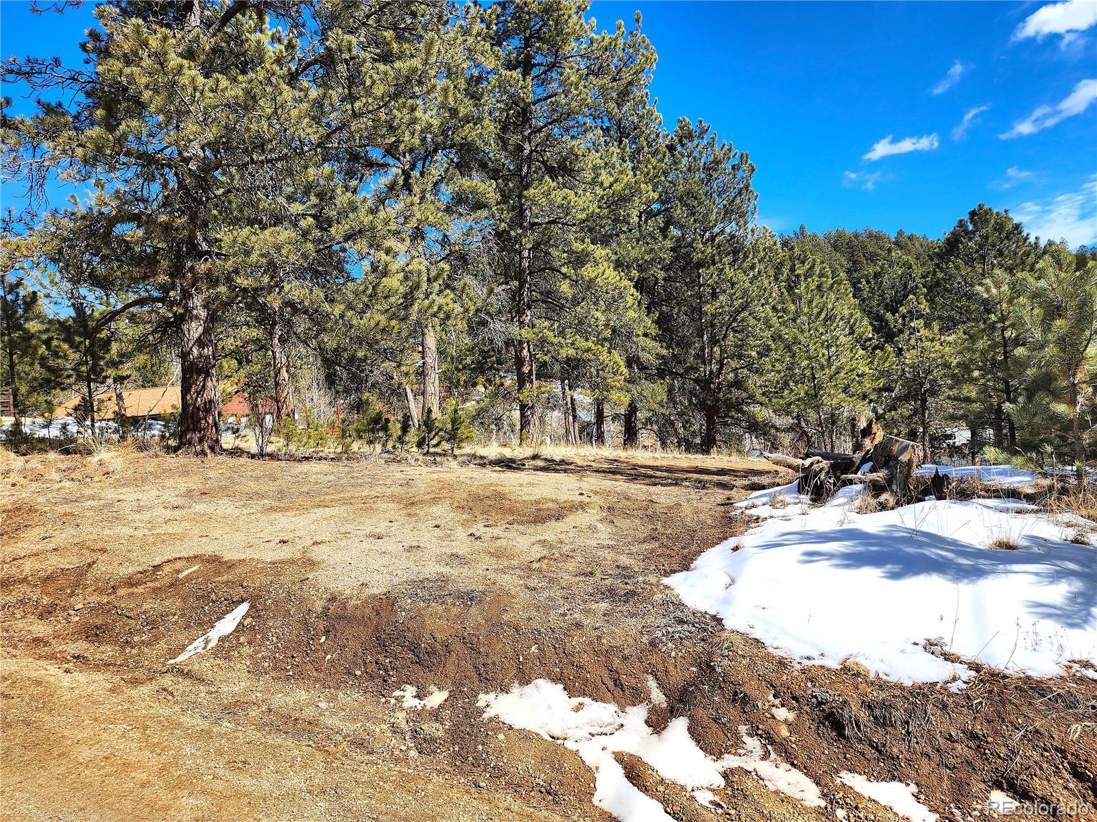 144 Gray Street Bailey, CO 80421 - Photo 18 of 27 a view of road with trees