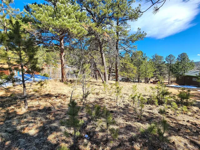 a view of a yard with a tree