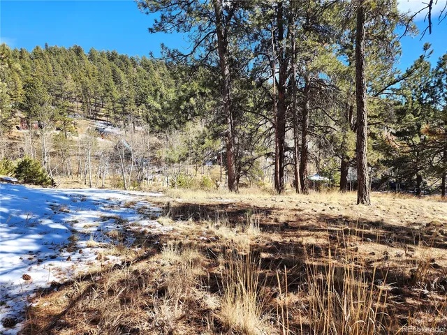 a view of dirt yard with a tree