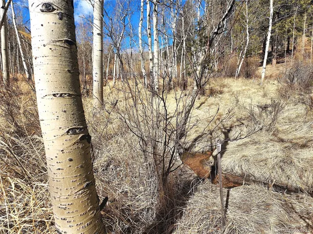 a picture of street view