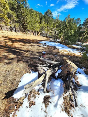 a view of yard with trees