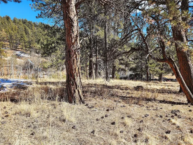 a view of yard covered with snow