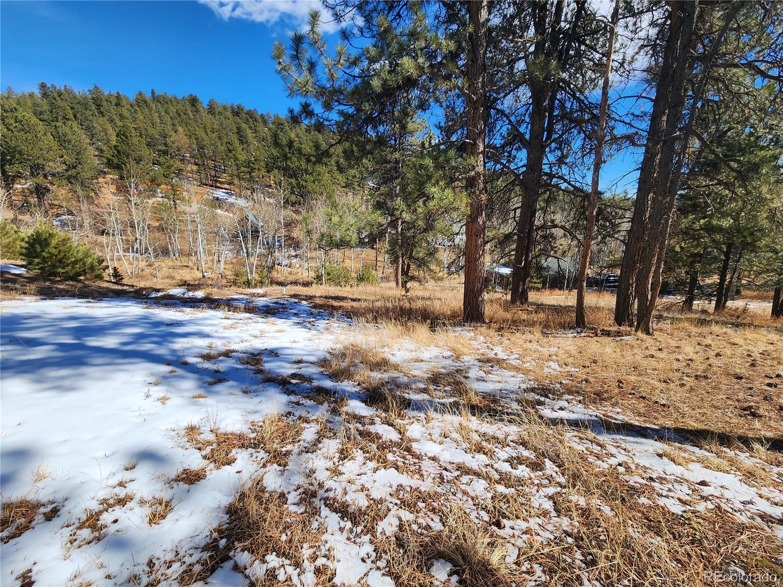 144 Gray Street Bailey, CO 80421 - Photo 23 of 27 a view of yard with trees