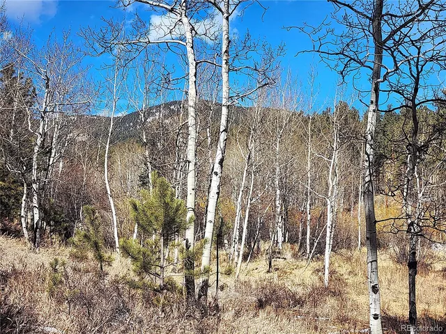 a view of a backyard of the house