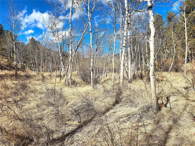 a view of covered with snow