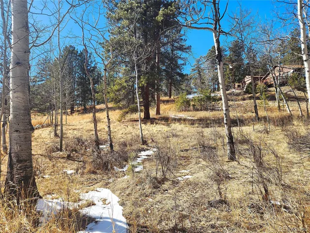 a view of a yard covered with snow