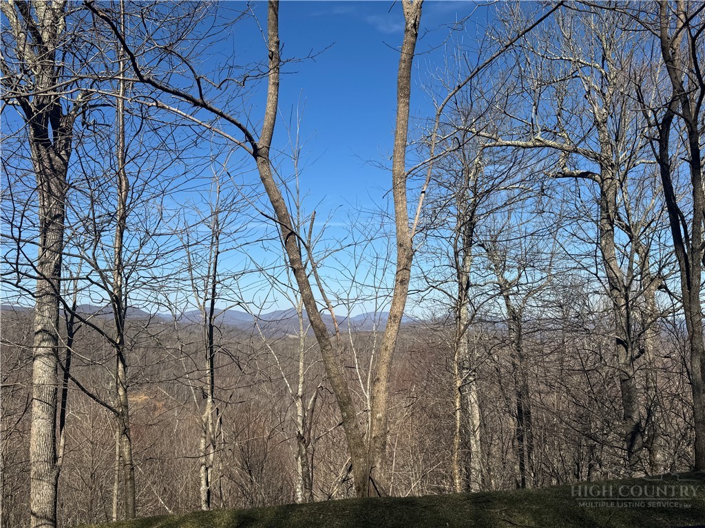 Lot 6 Boone Ridge Lane Boone, NC 28607 - Photo 2 of 15