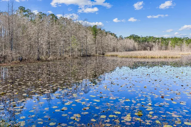 $460,000 | 455 Eagleview Drive, Moncks Corner, SC 29461