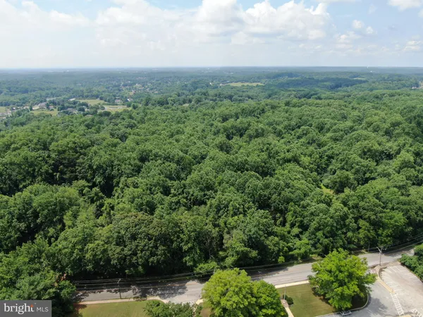 a view of a garden with plants and large trees