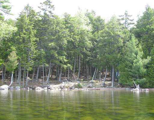 Lot#3 West Grand Lake Division Atv Road Princeton, ME 04637 - Photo 6 of 7 Land/Lot. View of lot leaving the...