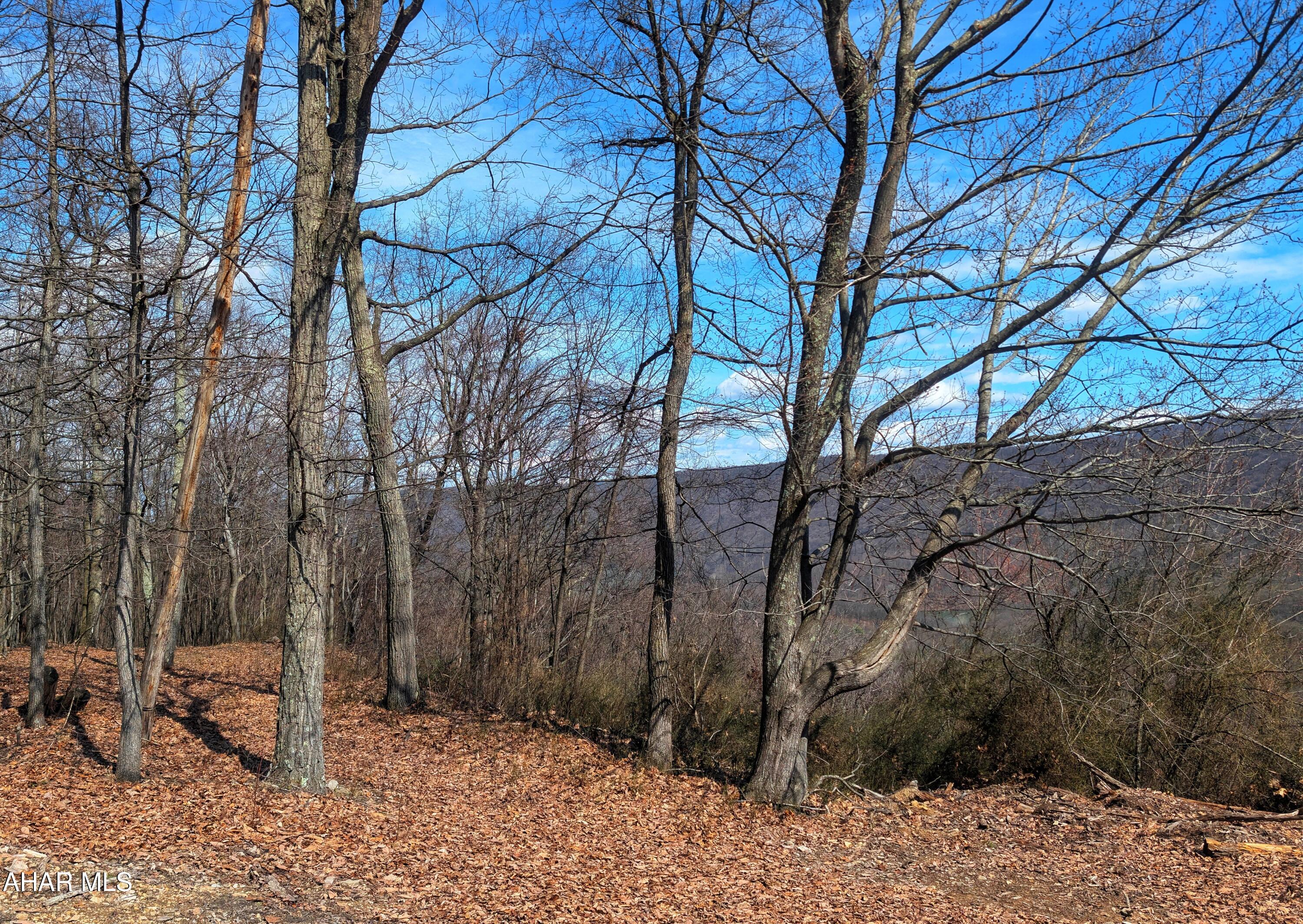 0 Pine Ridge Road Saxton, PA 16678 - Photo 17 of 23