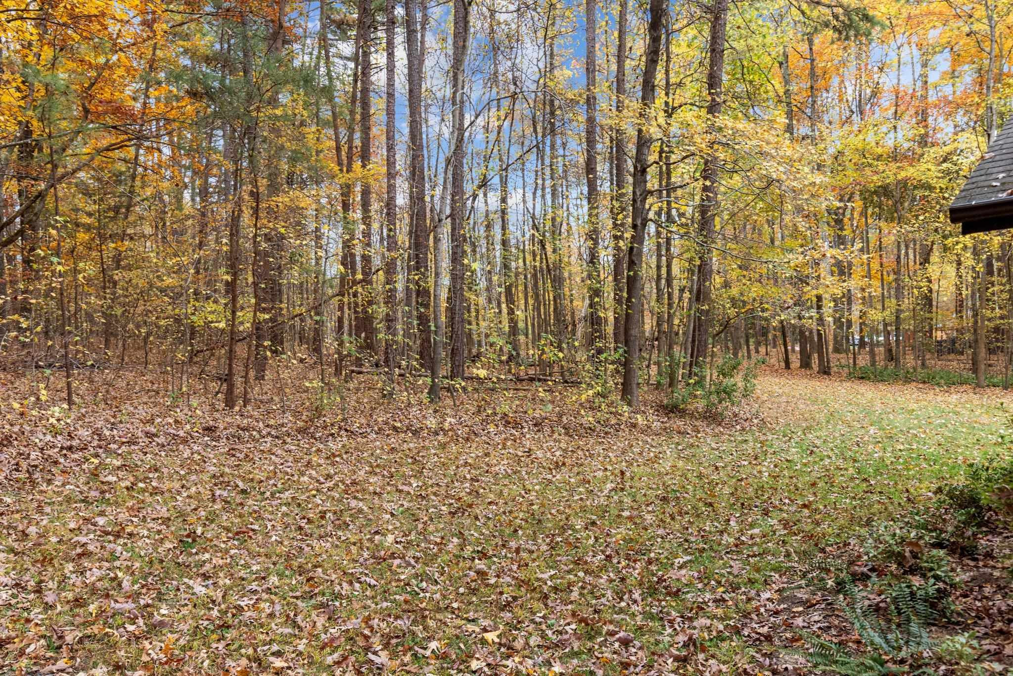 111 Equestrian Chase Rougemont, NC 27572 - Photo 4 of 62 Photo 4