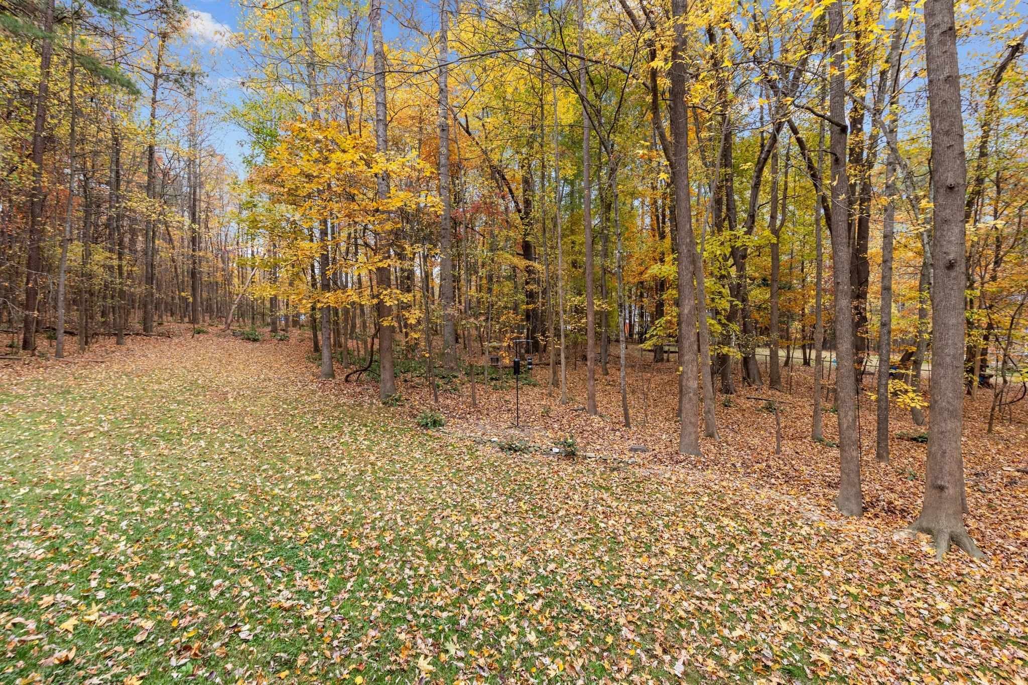 111 Equestrian Chase Rougemont, NC 27572 - Photo 43 of 62 Photo 43