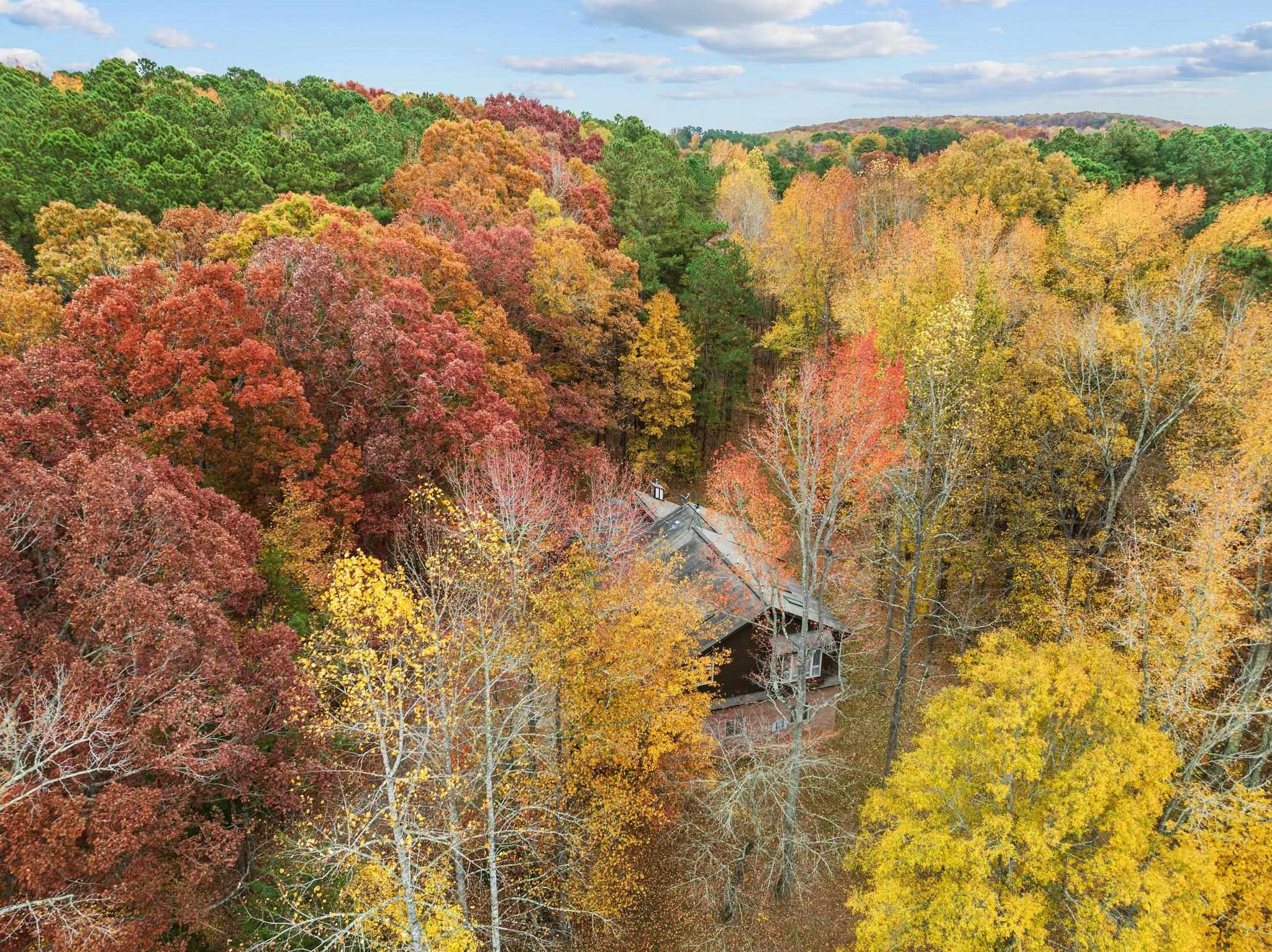 111 Equestrian Chase Rougemont, NC 27572 - Photo 47 of 62 Photo 47