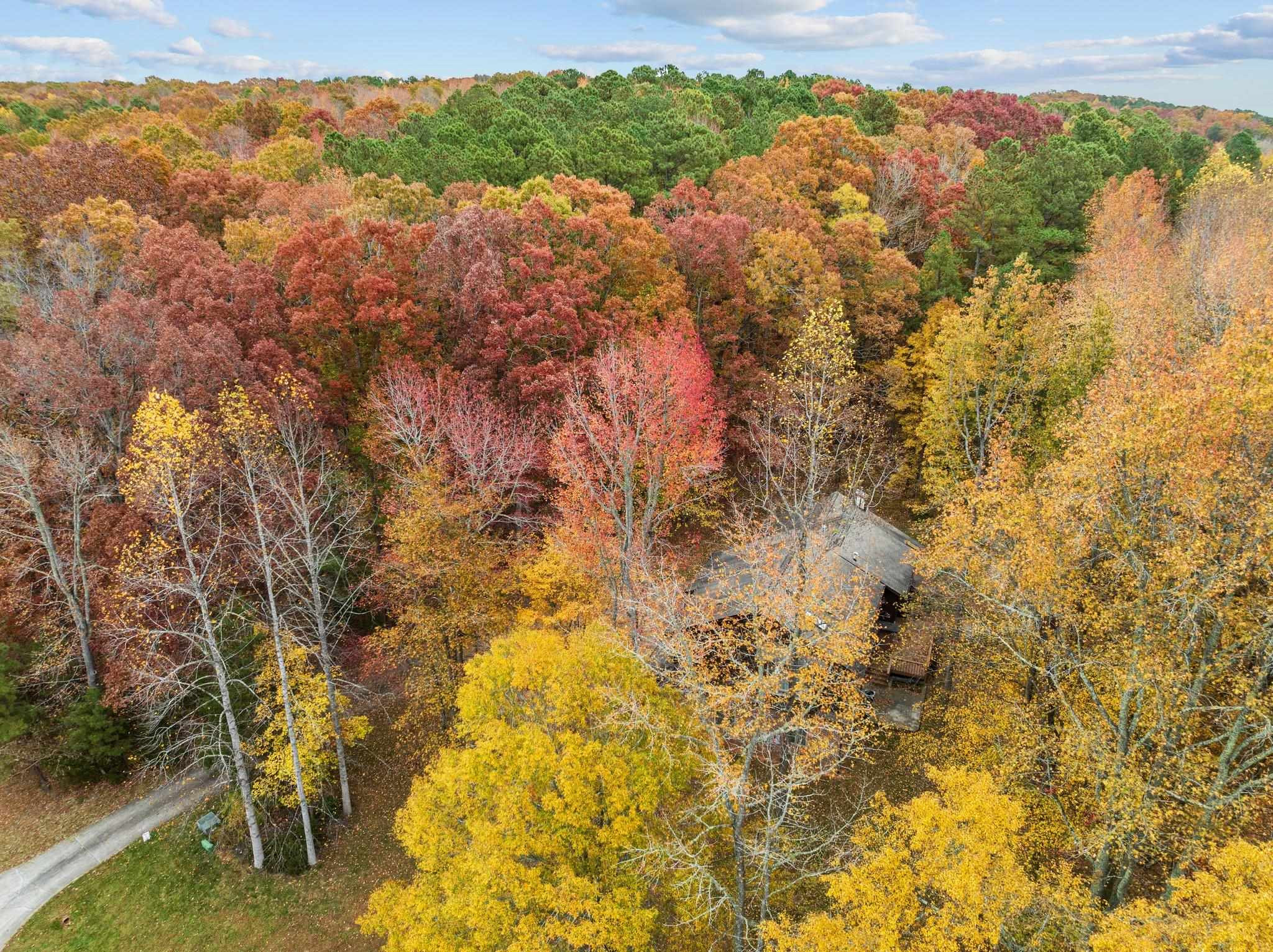 111 Equestrian Chase Rougemont, NC 27572 - Photo 49 of 62 Photo 49