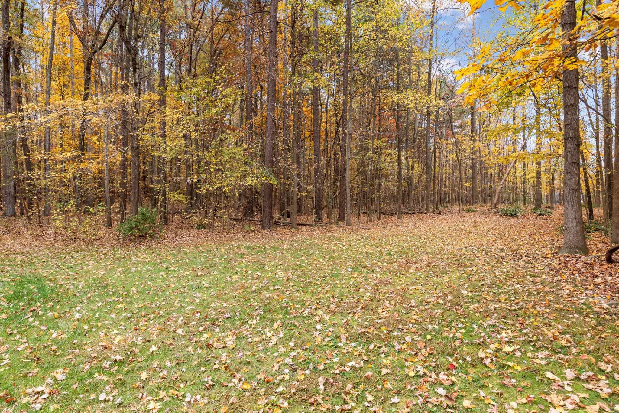 111 Equestrian Chase Rougemont, NC 27572 - Photo 5 of 62 Photo 5