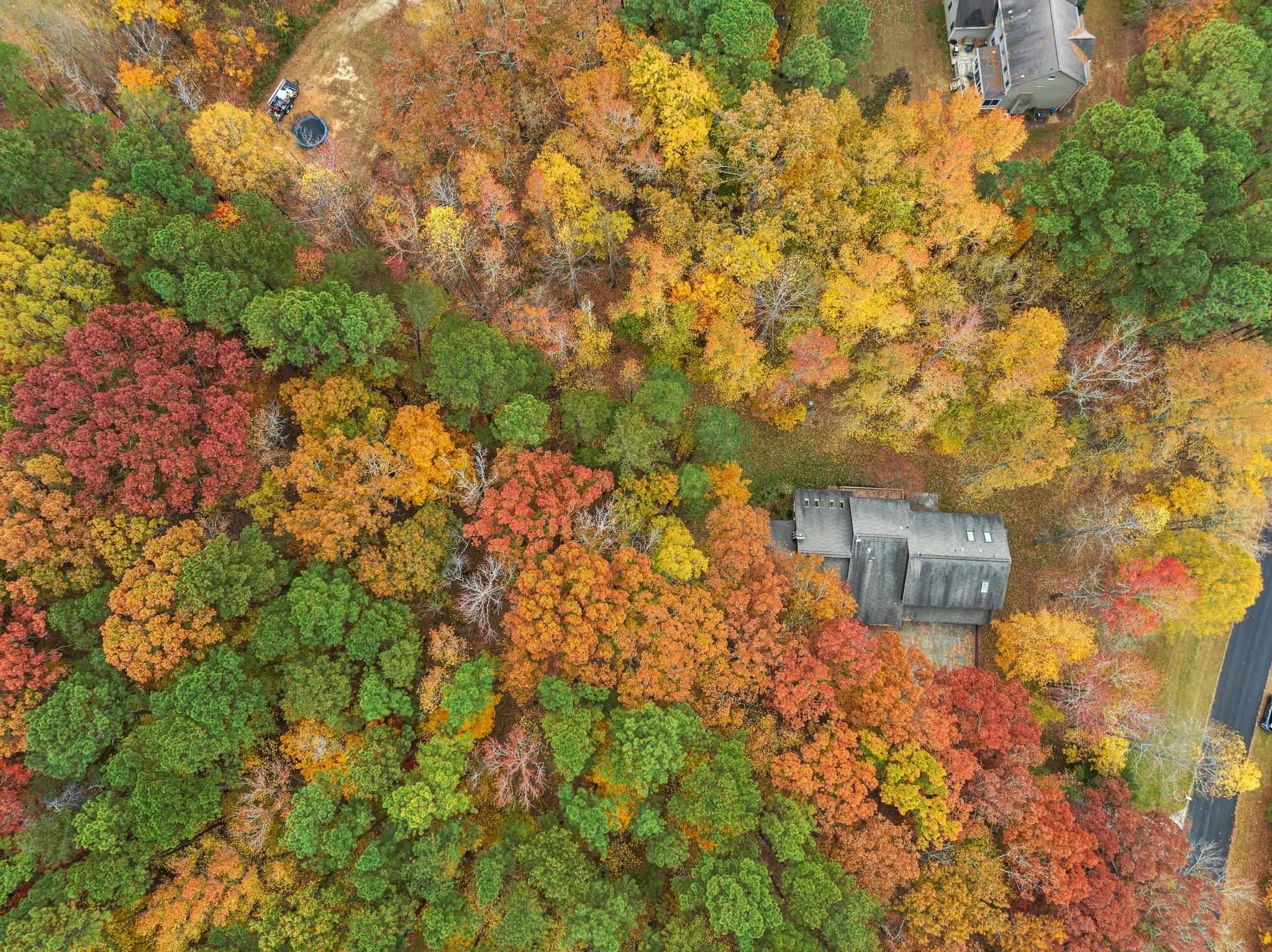 111 Equestrian Chase Rougemont, NC 27572 - Photo 53 of 62 Photo 53