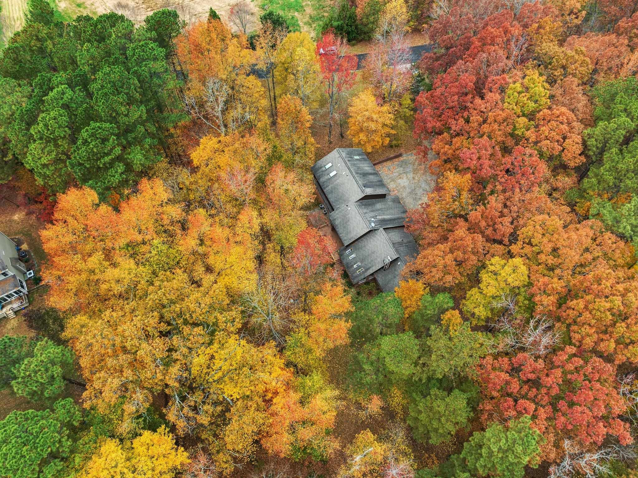 111 Equestrian Chase Rougemont, NC 27572 - Photo 54 of 62 Photo 54