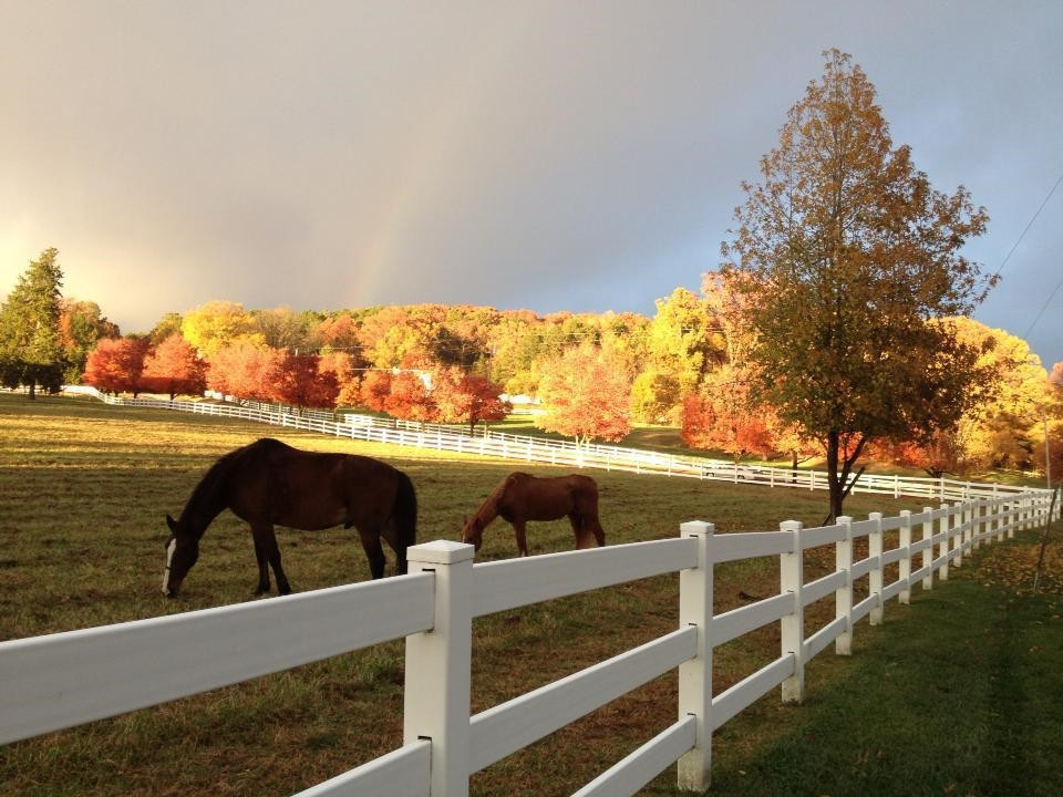111 Equestrian Chase Rougemont, NC 27572 - Photo 58 of 62 Photo 58