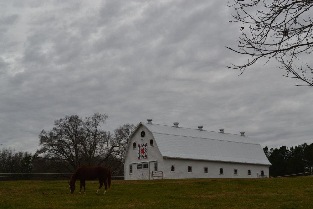 111 Equestrian Chase Rougemont, NC 27572 - Photo 59 of 62 Photo 59