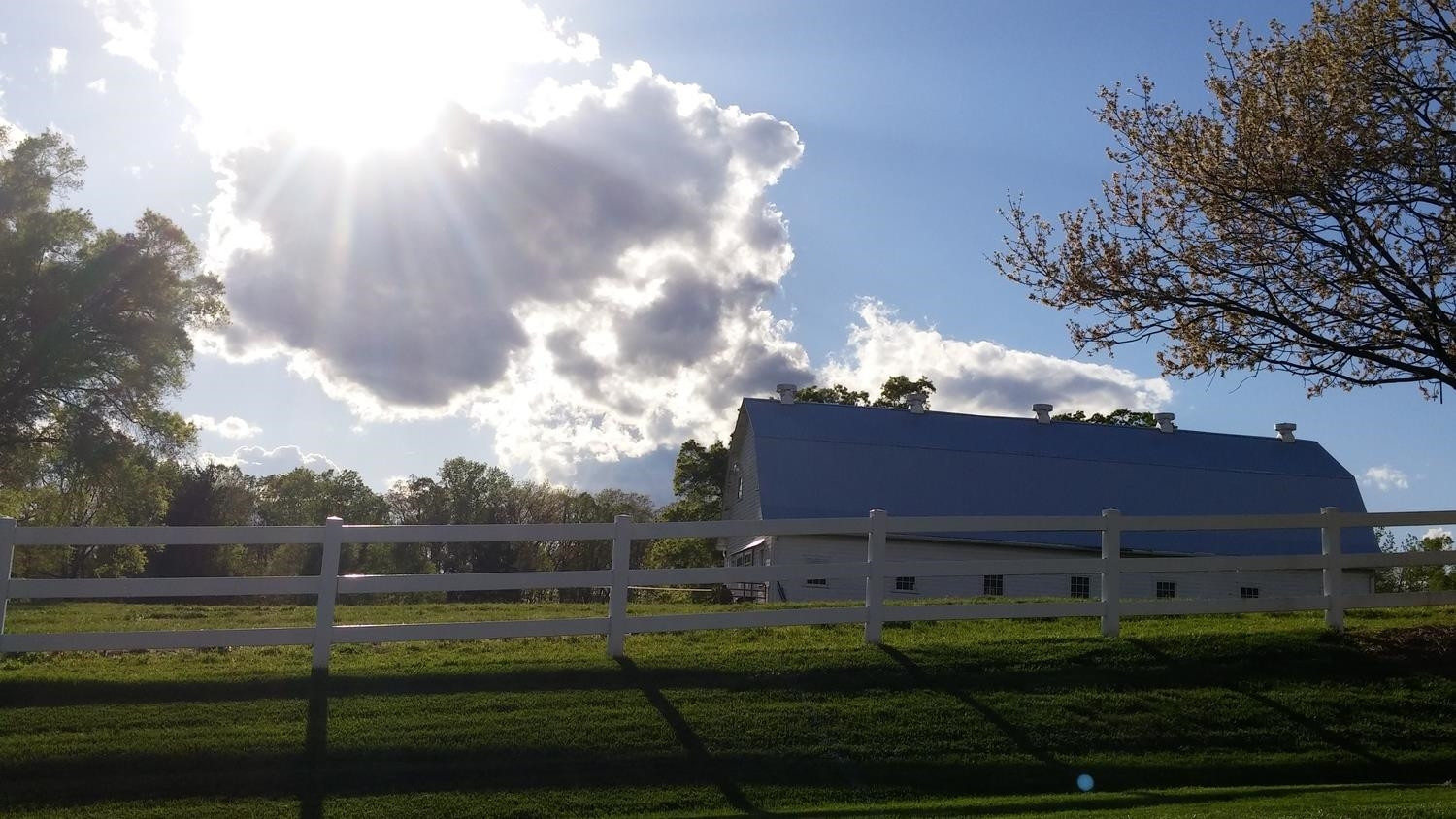 111 Equestrian Chase Rougemont, NC 27572 - Photo 61 of 62 Photo 61