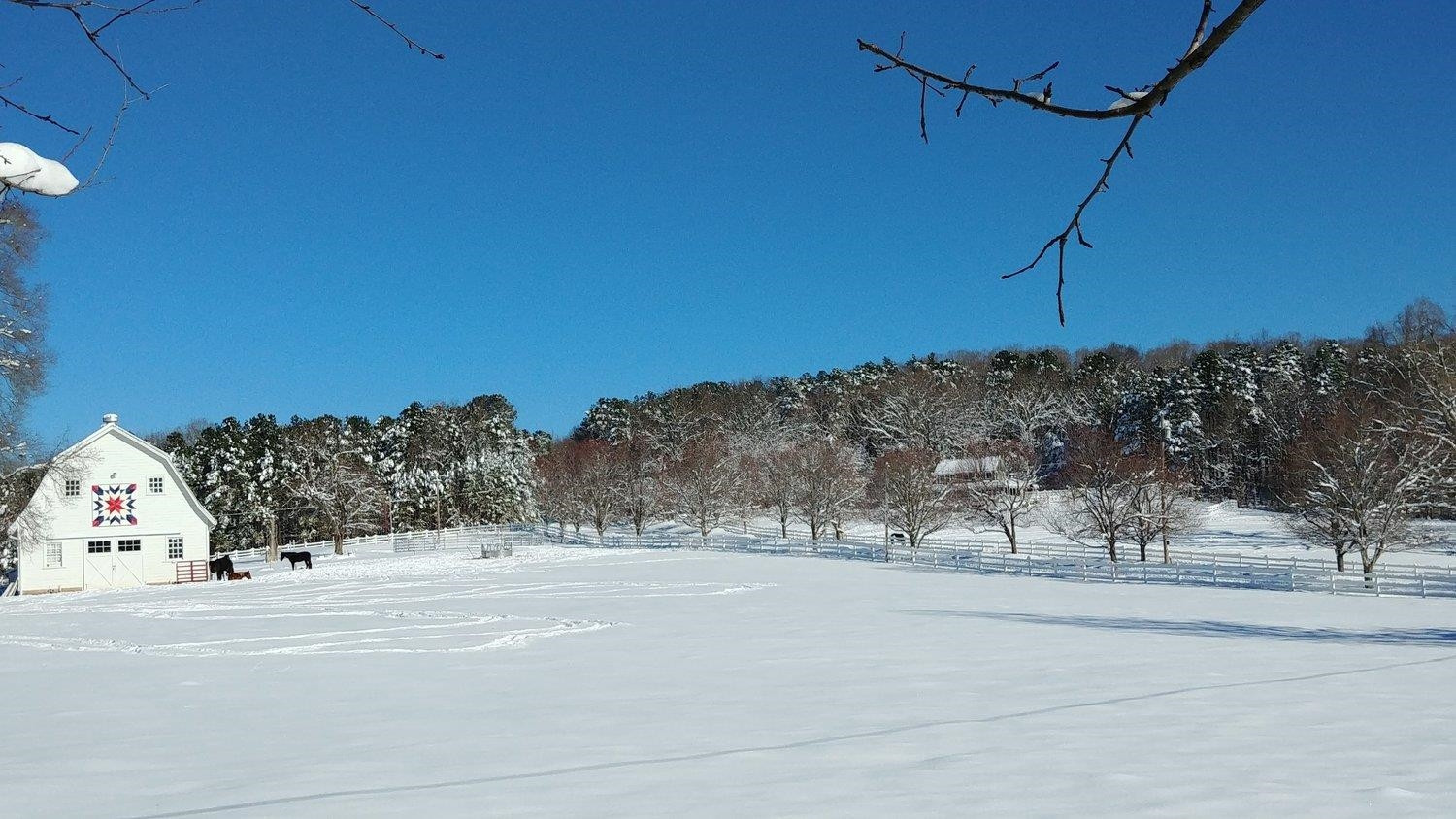 111 Equestrian Chase Rougemont, NC 27572 - Photo 62 of 62 Photo 62