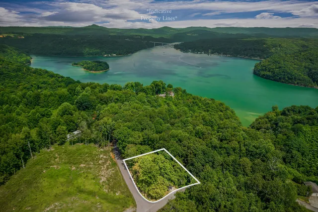 a view of a backyard with a garden