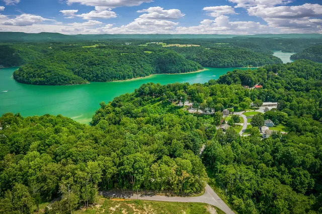a view of a garden with an outdoor space