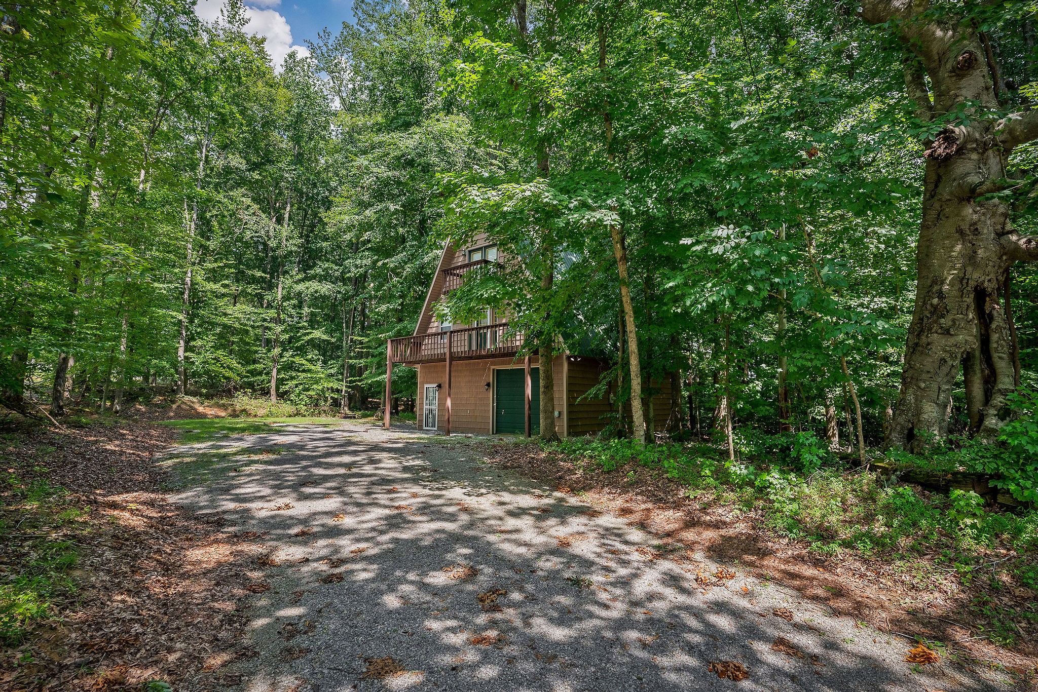 308 Cosby Parris Road Byrdstown, TN 38549 - Photo 9 of 32 a big yard with large trees