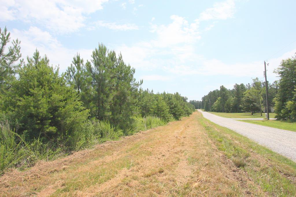 20 Carriage Hill Road, Unit 20 Farmville, VA 23901 - Photo 1 of 7 Gallery Image 1