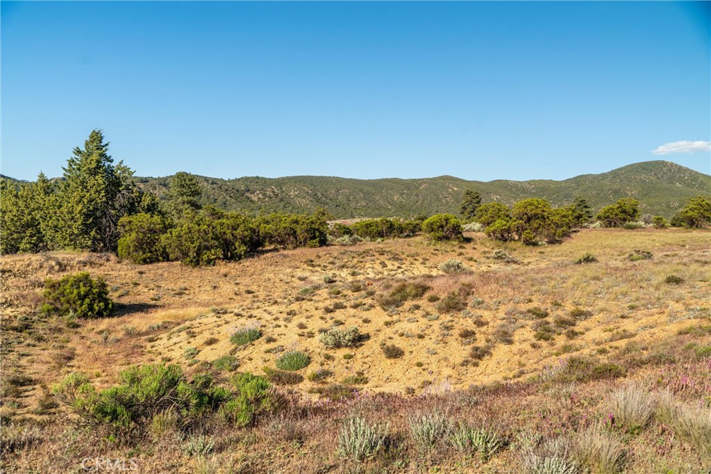 60861 Burnt Valley Road Anza, CA 92539 - Photo 55 of 66