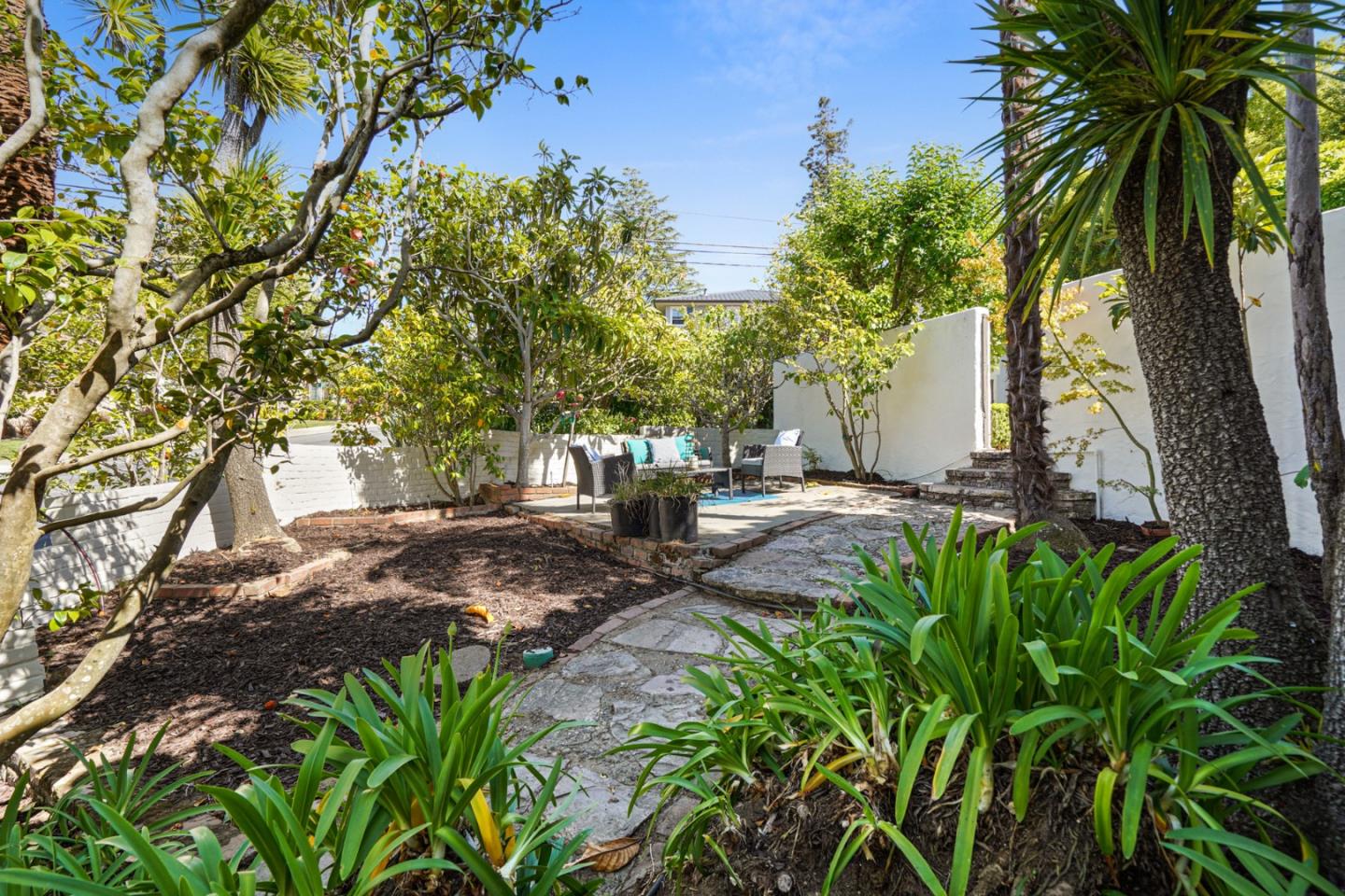 401 Parrott Drive San Mateo, CA 94402 - Photo 61 of 68 a view of backyard with tree
