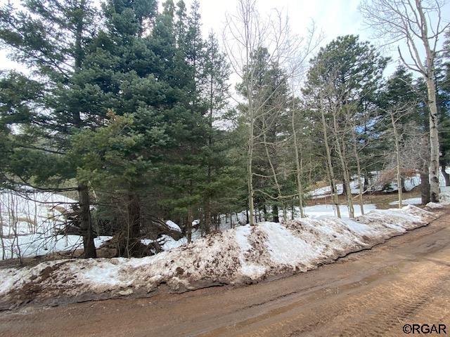 Tbd Lake Isabell Drive Rye, CO 81069 - Photo 6 of 12 Gallery Image 6