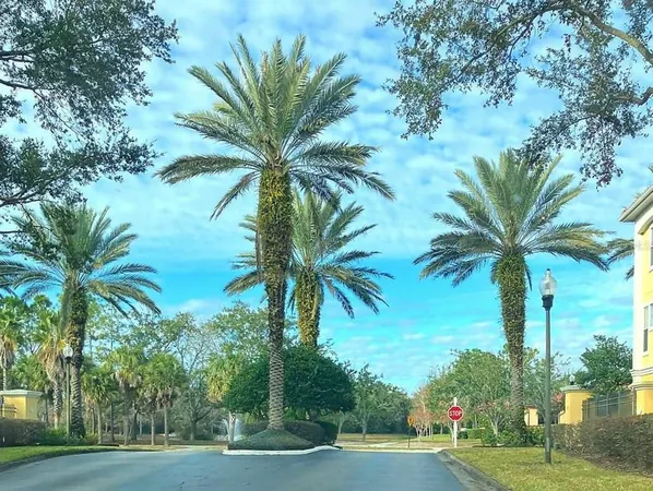 a view of a yard and palm trees