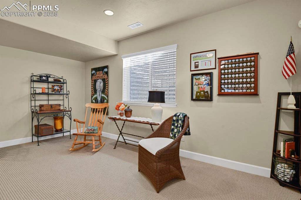 13015 Cake Bread Heights Colorado Springs, CO 80921 - Photo 29 of 45 a view of a livingroom with furniture and a bookshelf