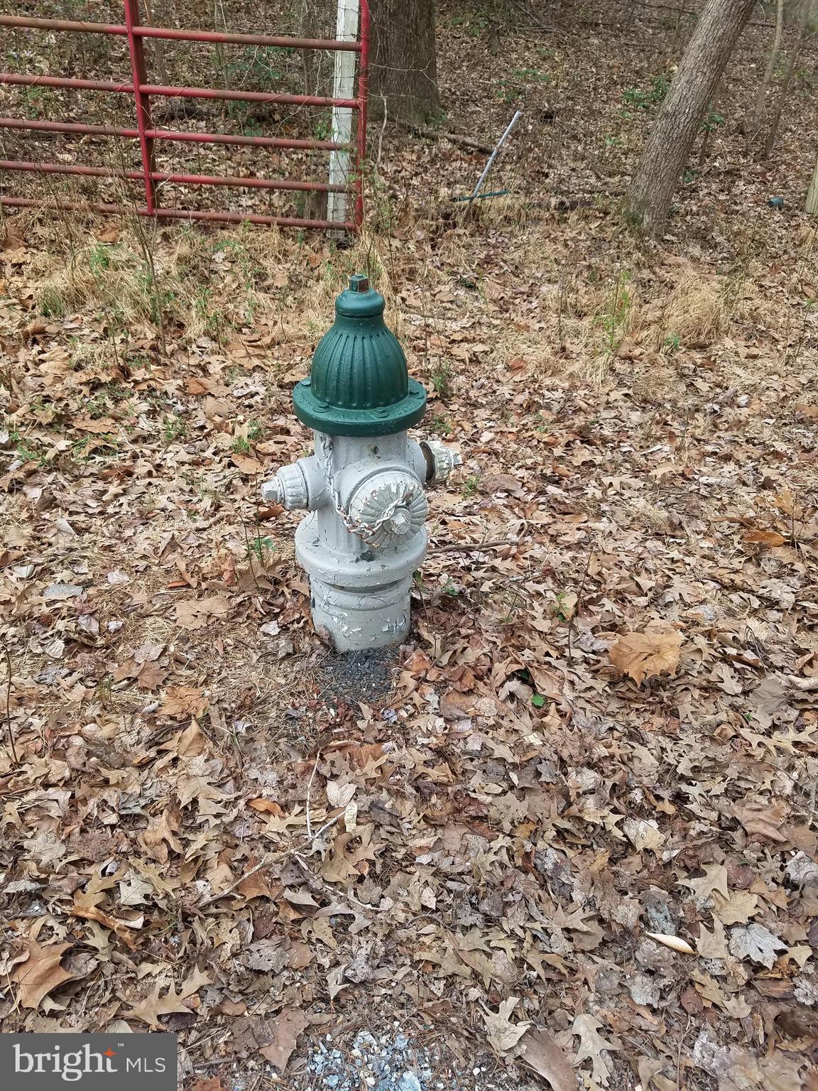 Old Palmer Road Fort Washington, MD 20744 - Photo 15 of 15