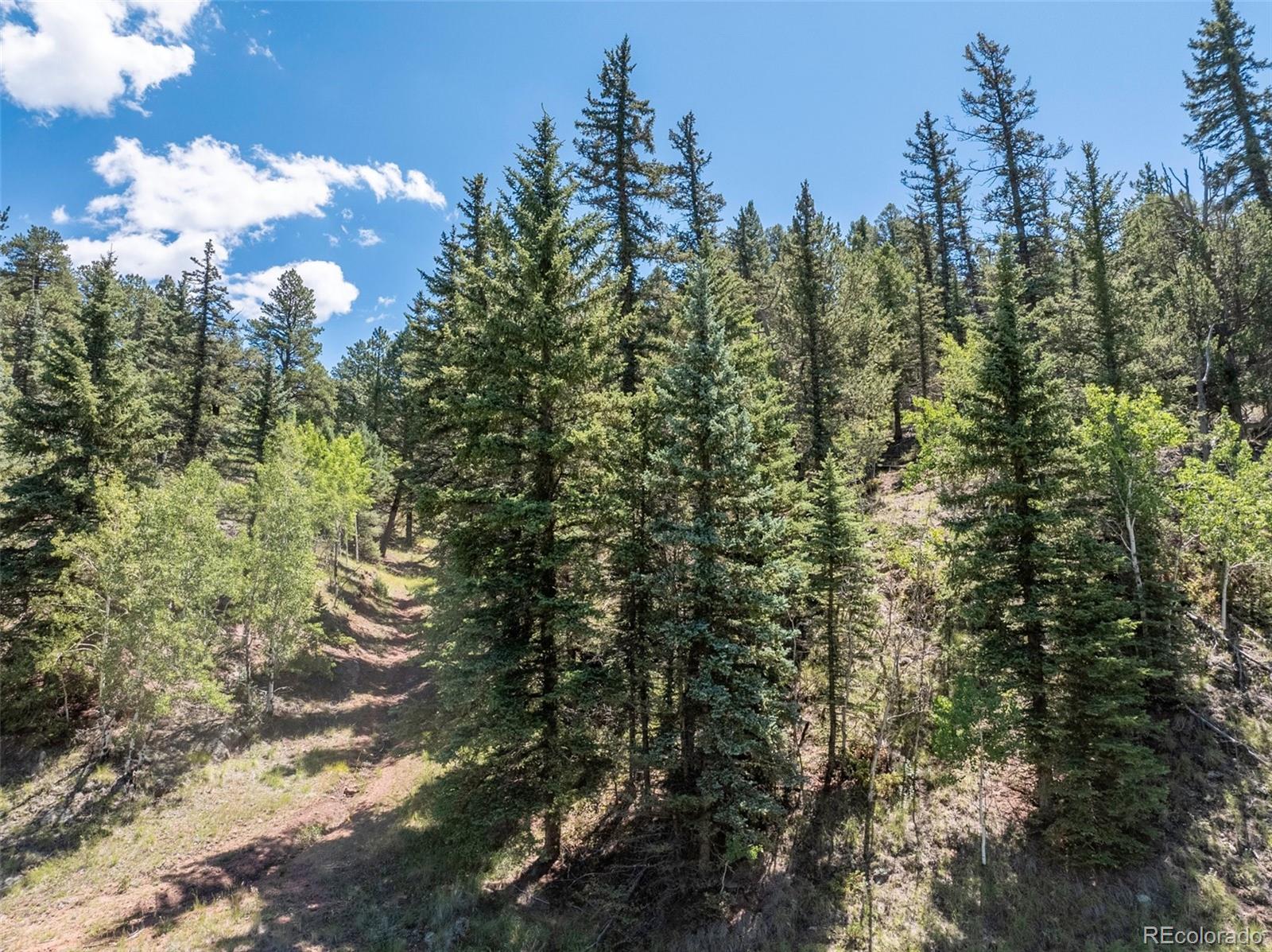 1676 Pathfinder Road Florissant, CO 80816 - Photo 2 of 32 Gallery Image 2