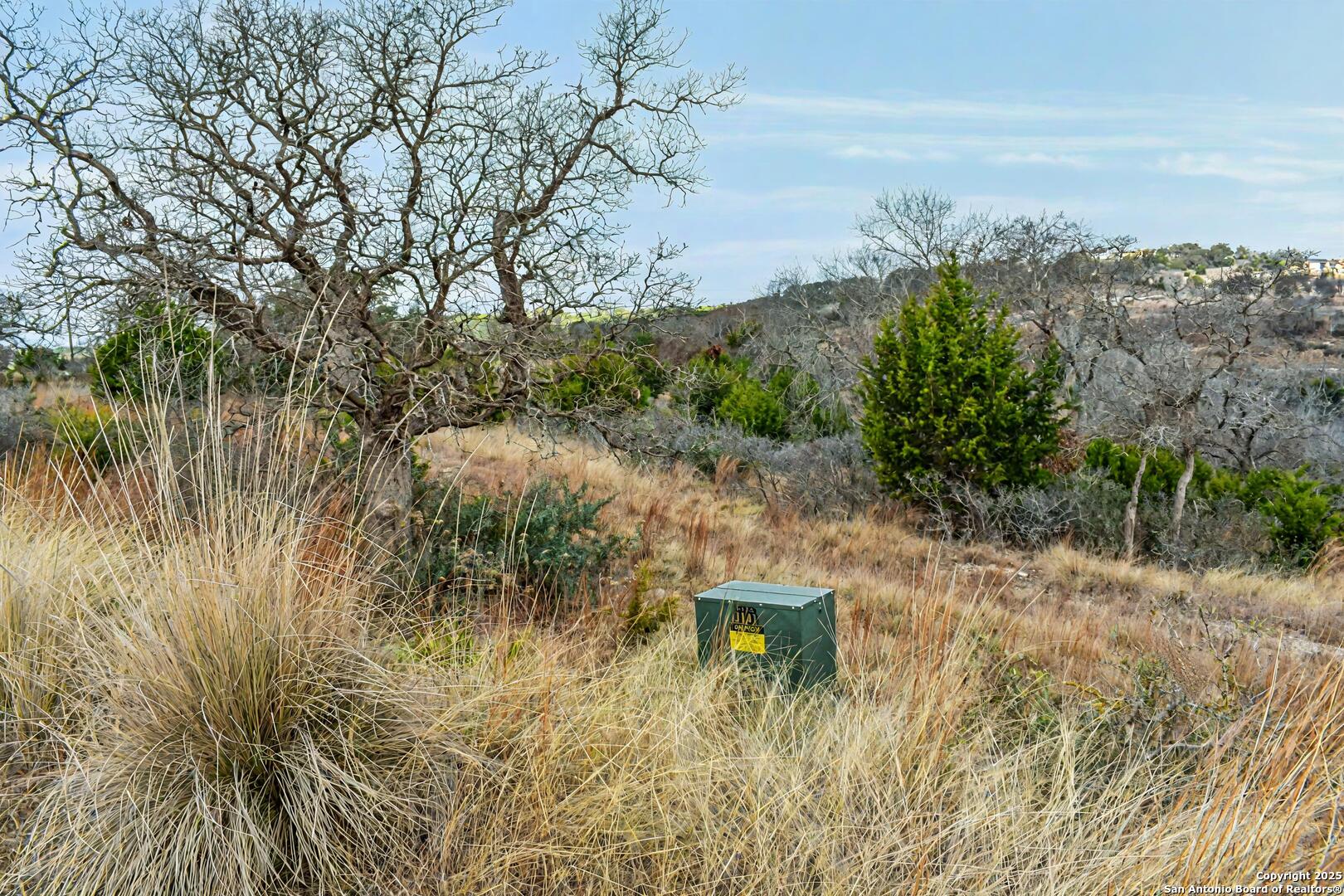 345 Echo Falls Road Comfort, TX 78013 - Photo 8 of 11