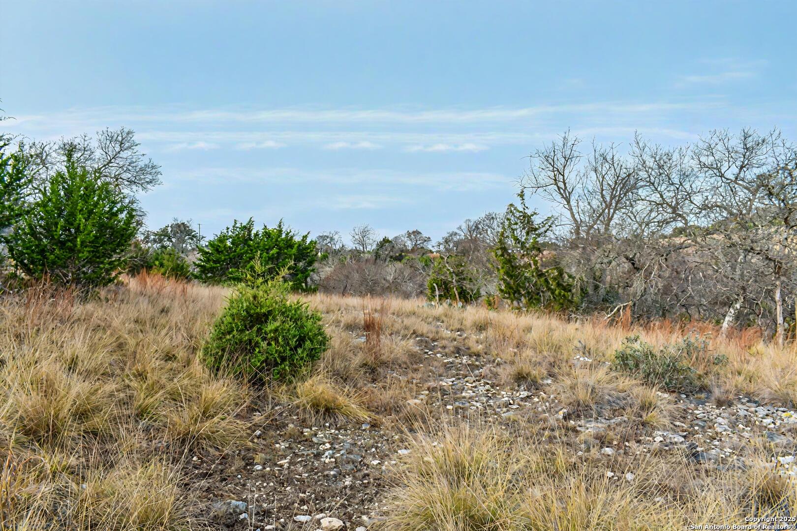 345 Echo Falls Road Comfort, TX 78013 - Photo 9 of 11