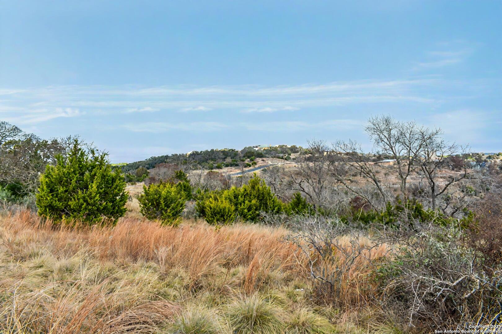 345 Echo Falls Road Comfort, TX 78013 - Photo 10 of 11