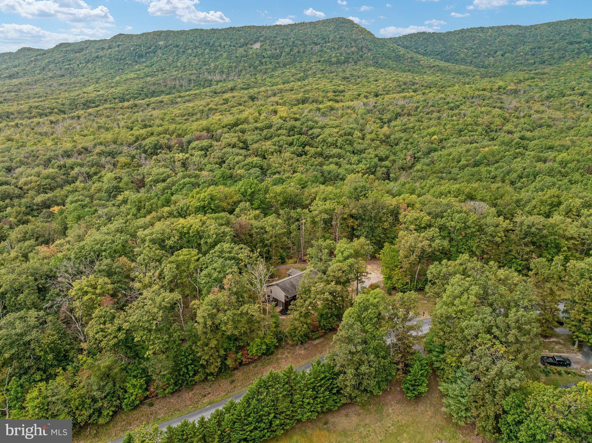 3823 Panhandle Road Front Royal, VA 22630 - Photo 69 of 78 DJI_20260929122724_0522_D-ABSALT-SEPT2026 68