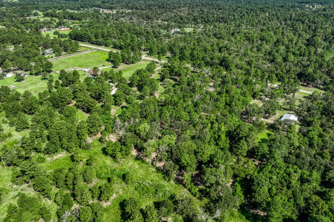 31801 Reids Prairie Road Waller, TX 77484 - Photo 11 of 11 a view of a lush green space