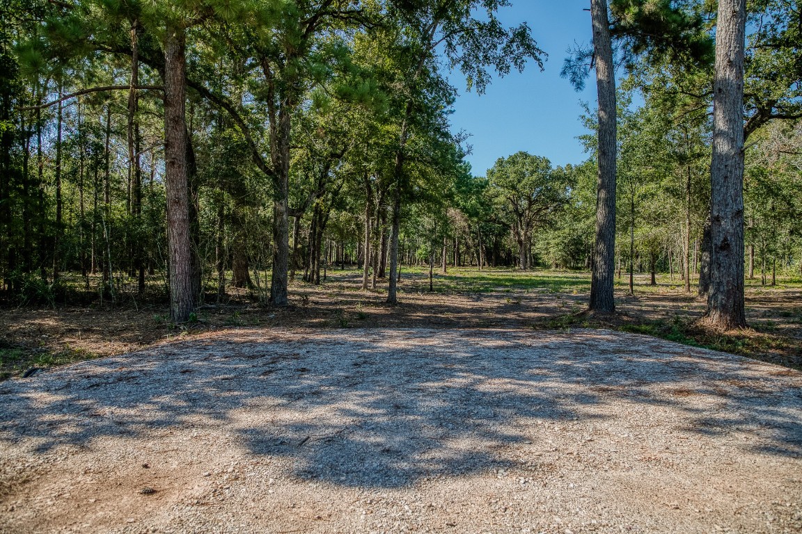 31801 Reids Prairie Road Waller, TX 77484 - Photo 3 of 11 a view of a park